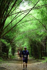 BIB: 13303
                            <button type="button" onclick="openModal(4293636)" class="btn btn-primary btn-sm float-right btn-popup" data-toggle="modal" data-target=".modal-high-quality">
                        <i class="fas fa-shopping-cart"></i> Add to Cart
                    </button>
                                            <button type="button" onclick="isThisMe(4293636, true)" class="btn btn-success btn-sm float-right btn-popup btn-isme hidden" data-toggle="tooltip" data-placement="bottom" title="นี่คือรูปของคุณใช่ไหม คลิกที่นี่เพื่อเอาเข้าอัลบั้ม">
                        <i class="fas fa-plus"></i> Add to album
                    </button>
                    <button type="button" onclick="isThisMe(4293636, false)" class="btn btn-warning btn-sm float-right btn-popup btn-isnotme hidden">
                        <i class="fas fa-ban"></i> Remove from album
                    </button>