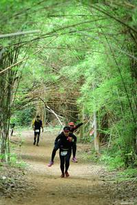 BIB: 
                            <button type="button" onclick="openModal(4306775)" class="btn btn-primary btn-sm float-right btn-popup" data-toggle="modal" data-target=".modal-high-quality">
                        <i class="fas fa-shopping-cart"></i> Add to Cart
                    </button>
                                            <button type="button" onclick="isThisMe(4306775, true)" class="btn btn-success btn-sm float-right btn-popup btn-isme hidden" data-toggle="tooltip" data-placement="bottom" title="นี่คือรูปของคุณใช่ไหม คลิกที่นี่เพื่อเอาเข้าอัลบั้ม">
                        <i class="fas fa-plus"></i> Add to album
                    </button>
                    <button type="button" onclick="isThisMe(4306775, false)" class="btn btn-warning btn-sm float-right btn-popup btn-isnotme hidden">
                        <i class="fas fa-ban"></i> Remove from album
                    </button>