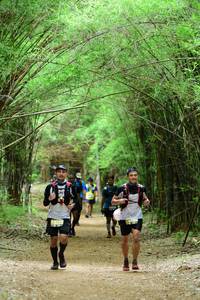 BIB: 
                            <button type="button" onclick="openModal(4292535)" class="btn btn-primary btn-sm float-right btn-popup" data-toggle="modal" data-target=".modal-high-quality">
                        <i class="fas fa-shopping-cart"></i> Add to Cart
                    </button>
                                            <button type="button" onclick="isThisMe(4292535, true)" class="btn btn-success btn-sm float-right btn-popup btn-isme hidden" data-toggle="tooltip" data-placement="bottom" title="นี่คือรูปของคุณใช่ไหม คลิกที่นี่เพื่อเอาเข้าอัลบั้ม">
                        <i class="fas fa-plus"></i> Add to album
                    </button>
                    <button type="button" onclick="isThisMe(4292535, false)" class="btn btn-warning btn-sm float-right btn-popup btn-isnotme hidden">
                        <i class="fas fa-ban"></i> Remove from album
                    </button>