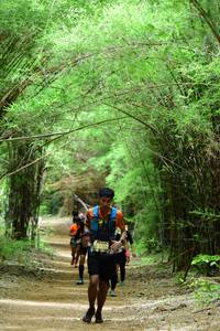 BIB: 
                            <button type="button" onclick="openModal(4290720)" class="btn btn-primary btn-sm float-right btn-popup" data-toggle="modal" data-target=".modal-high-quality">
                        <i class="fas fa-shopping-cart"></i> Add to Cart
                    </button>
                                            <button type="button" onclick="isThisMe(4290720, true)" class="btn btn-success btn-sm float-right btn-popup btn-isme hidden" data-toggle="tooltip" data-placement="bottom" title="นี่คือรูปของคุณใช่ไหม คลิกที่นี่เพื่อเอาเข้าอัลบั้ม">
                        <i class="fas fa-plus"></i> Add to album
                    </button>
                    <button type="button" onclick="isThisMe(4290720, false)" class="btn btn-warning btn-sm float-right btn-popup btn-isnotme hidden">
                        <i class="fas fa-ban"></i> Remove from album
                    </button>