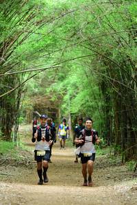 BIB: 8223
                            <button type="button" onclick="openModal(4292503)" class="btn btn-primary btn-sm float-right btn-popup" data-toggle="modal" data-target=".modal-high-quality">
                        <i class="fas fa-shopping-cart"></i> Add to Cart
                    </button>
                                            <button type="button" onclick="isThisMe(4292503, true)" class="btn btn-success btn-sm float-right btn-popup btn-isme hidden" data-toggle="tooltip" data-placement="bottom" title="นี่คือรูปของคุณใช่ไหม คลิกที่นี่เพื่อเอาเข้าอัลบั้ม">
                        <i class="fas fa-plus"></i> Add to album
                    </button>
                    <button type="button" onclick="isThisMe(4292503, false)" class="btn btn-warning btn-sm float-right btn-popup btn-isnotme hidden">
                        <i class="fas fa-ban"></i> Remove from album
                    </button>