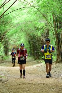 BIB: 43078, 3077
                            <button type="button" onclick="openModal(4292671)" class="btn btn-primary btn-sm float-right btn-popup" data-toggle="modal" data-target=".modal-high-quality">
                        <i class="fas fa-shopping-cart"></i> Add to Cart
                    </button>
                                            <button type="button" onclick="isThisMe(4292671, true)" class="btn btn-success btn-sm float-right btn-popup btn-isme hidden" data-toggle="tooltip" data-placement="bottom" title="นี่คือรูปของคุณใช่ไหม คลิกที่นี่เพื่อเอาเข้าอัลบั้ม">
                        <i class="fas fa-plus"></i> Add to album
                    </button>
                    <button type="button" onclick="isThisMe(4292671, false)" class="btn btn-warning btn-sm float-right btn-popup btn-isnotme hidden">
                        <i class="fas fa-ban"></i> Remove from album
                    </button>