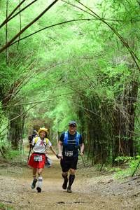 BIB: 3750, 3751
                            <button type="button" onclick="openModal(4293137)" class="btn btn-primary btn-sm float-right btn-popup" data-toggle="modal" data-target=".modal-high-quality">
                        <i class="fas fa-shopping-cart"></i> Add to Cart
                    </button>
                                            <button type="button" onclick="isThisMe(4293137, true)" class="btn btn-success btn-sm float-right btn-popup btn-isme hidden" data-toggle="tooltip" data-placement="bottom" title="นี่คือรูปของคุณใช่ไหม คลิกที่นี่เพื่อเอาเข้าอัลบั้ม">
                        <i class="fas fa-plus"></i> Add to album
                    </button>
                    <button type="button" onclick="isThisMe(4293137, false)" class="btn btn-warning btn-sm float-right btn-popup btn-isnotme hidden">
                        <i class="fas fa-ban"></i> Remove from album
                    </button>