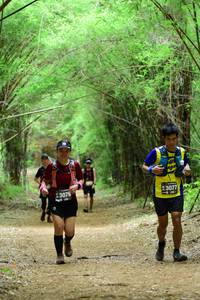 BIB: 3076, 3077
                            <button type="button" onclick="openModal(4292672)" class="btn btn-primary btn-sm float-right btn-popup" data-toggle="modal" data-target=".modal-high-quality">
                        <i class="fas fa-shopping-cart"></i> Add to Cart
                    </button>
                                            <button type="button" onclick="isThisMe(4292672, true)" class="btn btn-success btn-sm float-right btn-popup btn-isme hidden" data-toggle="tooltip" data-placement="bottom" title="นี่คือรูปของคุณใช่ไหม คลิกที่นี่เพื่อเอาเข้าอัลบั้ม">
                        <i class="fas fa-plus"></i> Add to album
                    </button>
                    <button type="button" onclick="isThisMe(4292672, false)" class="btn btn-warning btn-sm float-right btn-popup btn-isnotme hidden">
                        <i class="fas fa-ban"></i> Remove from album
                    </button>