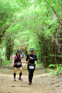 BIB: 396
                            <button type="button" onclick="openModal(4305694)" class="btn btn-primary btn-sm float-right btn-popup" data-toggle="modal" data-target=".modal-high-quality">
                        <i class="fas fa-shopping-cart"></i> Add to Cart
                    </button>
                                            <button type="button" onclick="isThisMe(4305694, true)" class="btn btn-success btn-sm float-right btn-popup btn-isme hidden" data-toggle="tooltip" data-placement="bottom" title="นี่คือรูปของคุณใช่ไหม คลิกที่นี่เพื่อเอาเข้าอัลบั้ม">
                        <i class="fas fa-plus"></i> Add to album
                    </button>
                    <button type="button" onclick="isThisMe(4305694, false)" class="btn btn-warning btn-sm float-right btn-popup btn-isnotme hidden">
                        <i class="fas fa-ban"></i> Remove from album
                    </button>