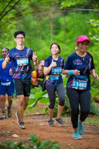 BIB: 6071, 6072, 1483
                            <button type="button" onclick="openModal(4505037)" class="btn btn-primary btn-sm float-right btn-popup" data-toggle="modal" data-target=".modal-high-quality">
                        <i class="fas fa-shopping-cart"></i> Add to Cart
                    </button>
                                            <button type="button" onclick="isThisMe(4505037, true)" class="btn btn-success btn-sm float-right btn-popup btn-isme hidden" data-toggle="tooltip" data-placement="bottom" title="นี่คือรูปของคุณใช่ไหม คลิกที่นี่เพื่อเอาเข้าอัลบั้ม">
                        <i class="fas fa-plus"></i> Add to album
                    </button>
                    <button type="button" onclick="isThisMe(4505037, false)" class="btn btn-warning btn-sm float-right btn-popup btn-isnotme hidden">
                        <i class="fas fa-ban"></i> Remove from album
                    </button>