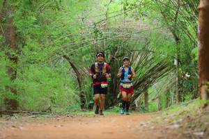 BIB: 
                            <button type="button" onclick="openModal(4447815)" class="btn btn-primary btn-sm float-right btn-popup" data-toggle="modal" data-target=".modal-high-quality">
                        <i class="fas fa-shopping-cart"></i> Add to Cart
                    </button>
                                            <button type="button" onclick="isThisMe(4447815, true)" class="btn btn-success btn-sm float-right btn-popup btn-isme hidden" data-toggle="tooltip" data-placement="bottom" title="นี่คือรูปของคุณใช่ไหม คลิกที่นี่เพื่อเอาเข้าอัลบั้ม">
                        <i class="fas fa-plus"></i> Add to album
                    </button>
                    <button type="button" onclick="isThisMe(4447815, false)" class="btn btn-warning btn-sm float-right btn-popup btn-isnotme hidden">
                        <i class="fas fa-ban"></i> Remove from album
                    </button>