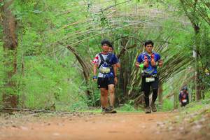 BIB: 5226
                            <button type="button" onclick="openModal(4442326)" class="btn btn-primary btn-sm float-right btn-popup" data-toggle="modal" data-target=".modal-high-quality">
                        <i class="fas fa-shopping-cart"></i> Add to Cart
                    </button>
                                            <button type="button" onclick="isThisMe(4442326, true)" class="btn btn-success btn-sm float-right btn-popup btn-isme hidden" data-toggle="tooltip" data-placement="bottom" title="นี่คือรูปของคุณใช่ไหม คลิกที่นี่เพื่อเอาเข้าอัลบั้ม">
                        <i class="fas fa-plus"></i> Add to album
                    </button>
                    <button type="button" onclick="isThisMe(4442326, false)" class="btn btn-warning btn-sm float-right btn-popup btn-isnotme hidden">
                        <i class="fas fa-ban"></i> Remove from album
                    </button>