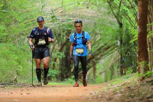 BIB: 250
                            <button type="button" onclick="openModal(4442973)" class="btn btn-primary btn-sm float-right btn-popup" data-toggle="modal" data-target=".modal-high-quality">
                        <i class="fas fa-shopping-cart"></i> Add to Cart
                    </button>
                                            <button type="button" onclick="isThisMe(4442973, true)" class="btn btn-success btn-sm float-right btn-popup btn-isme hidden" data-toggle="tooltip" data-placement="bottom" title="นี่คือรูปของคุณใช่ไหม คลิกที่นี่เพื่อเอาเข้าอัลบั้ม">
                        <i class="fas fa-plus"></i> Add to album
                    </button>
                    <button type="button" onclick="isThisMe(4442973, false)" class="btn btn-warning btn-sm float-right btn-popup btn-isnotme hidden">
                        <i class="fas fa-ban"></i> Remove from album
                    </button>