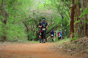 BIB: 
                            <button type="button" onclick="openModal(4443480)" class="btn btn-primary btn-sm float-right btn-popup" data-toggle="modal" data-target=".modal-high-quality">
                        <i class="fas fa-shopping-cart"></i> Add to Cart
                    </button>
                                            <button type="button" onclick="isThisMe(4443480, true)" class="btn btn-success btn-sm float-right btn-popup btn-isme hidden" data-toggle="tooltip" data-placement="bottom" title="นี่คือรูปของคุณใช่ไหม คลิกที่นี่เพื่อเอาเข้าอัลบั้ม">
                        <i class="fas fa-plus"></i> Add to album
                    </button>
                    <button type="button" onclick="isThisMe(4443480, false)" class="btn btn-warning btn-sm float-right btn-popup btn-isnotme hidden">
                        <i class="fas fa-ban"></i> Remove from album
                    </button>