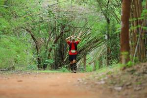 BIB: 
                            <button type="button" onclick="openModal(4448522)" class="btn btn-primary btn-sm float-right btn-popup" data-toggle="modal" data-target=".modal-high-quality">
                        <i class="fas fa-shopping-cart"></i> Add to Cart
                    </button>
                                            <button type="button" onclick="isThisMe(4448522, true)" class="btn btn-success btn-sm float-right btn-popup btn-isme hidden" data-toggle="tooltip" data-placement="bottom" title="นี่คือรูปของคุณใช่ไหม คลิกที่นี่เพื่อเอาเข้าอัลบั้ม">
                        <i class="fas fa-plus"></i> Add to album
                    </button>
                    <button type="button" onclick="isThisMe(4448522, false)" class="btn btn-warning btn-sm float-right btn-popup btn-isnotme hidden">
                        <i class="fas fa-ban"></i> Remove from album
                    </button>