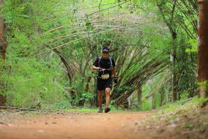 BIB: 
                            <button type="button" onclick="openModal(4443209)" class="btn btn-primary btn-sm float-right btn-popup" data-toggle="modal" data-target=".modal-high-quality">
                        <i class="fas fa-shopping-cart"></i> Add to Cart
                    </button>
                                            <button type="button" onclick="isThisMe(4443209, true)" class="btn btn-success btn-sm float-right btn-popup btn-isme hidden" data-toggle="tooltip" data-placement="bottom" title="นี่คือรูปของคุณใช่ไหม คลิกที่นี่เพื่อเอาเข้าอัลบั้ม">
                        <i class="fas fa-plus"></i> Add to album
                    </button>
                    <button type="button" onclick="isThisMe(4443209, false)" class="btn btn-warning btn-sm float-right btn-popup btn-isnotme hidden">
                        <i class="fas fa-ban"></i> Remove from album
                    </button>