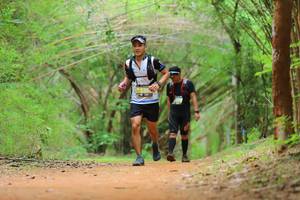 BIB: 
                            <button type="button" onclick="openModal(4441943)" class="btn btn-primary btn-sm float-right btn-popup" data-toggle="modal" data-target=".modal-high-quality">
                        <i class="fas fa-shopping-cart"></i> Add to Cart
                    </button>
                                            <button type="button" onclick="isThisMe(4441943, true)" class="btn btn-success btn-sm float-right btn-popup btn-isme hidden" data-toggle="tooltip" data-placement="bottom" title="นี่คือรูปของคุณใช่ไหม คลิกที่นี่เพื่อเอาเข้าอัลบั้ม">
                        <i class="fas fa-plus"></i> Add to album
                    </button>
                    <button type="button" onclick="isThisMe(4441943, false)" class="btn btn-warning btn-sm float-right btn-popup btn-isnotme hidden">
                        <i class="fas fa-ban"></i> Remove from album
                    </button>