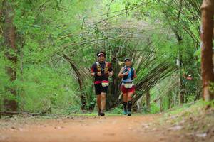 BIB: 
                            <button type="button" onclick="openModal(4447798)" class="btn btn-primary btn-sm float-right btn-popup" data-toggle="modal" data-target=".modal-high-quality">
                        <i class="fas fa-shopping-cart"></i> Add to Cart
                    </button>
                                            <button type="button" onclick="isThisMe(4447798, true)" class="btn btn-success btn-sm float-right btn-popup btn-isme hidden" data-toggle="tooltip" data-placement="bottom" title="นี่คือรูปของคุณใช่ไหม คลิกที่นี่เพื่อเอาเข้าอัลบั้ม">
                        <i class="fas fa-plus"></i> Add to album
                    </button>
                    <button type="button" onclick="isThisMe(4447798, false)" class="btn btn-warning btn-sm float-right btn-popup btn-isnotme hidden">
                        <i class="fas fa-ban"></i> Remove from album
                    </button>