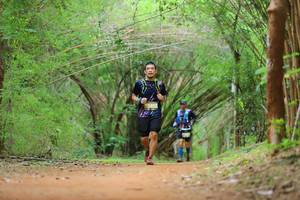 BIB: 
                            <button type="button" onclick="openModal(4447860)" class="btn btn-primary btn-sm float-right btn-popup" data-toggle="modal" data-target=".modal-high-quality">
                        <i class="fas fa-shopping-cart"></i> Add to Cart
                    </button>
                                            <button type="button" onclick="isThisMe(4447860, true)" class="btn btn-success btn-sm float-right btn-popup btn-isme hidden" data-toggle="tooltip" data-placement="bottom" title="นี่คือรูปของคุณใช่ไหม คลิกที่นี่เพื่อเอาเข้าอัลบั้ม">
                        <i class="fas fa-plus"></i> Add to album
                    </button>
                    <button type="button" onclick="isThisMe(4447860, false)" class="btn btn-warning btn-sm float-right btn-popup btn-isnotme hidden">
                        <i class="fas fa-ban"></i> Remove from album
                    </button>