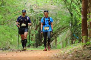 BIB: 022, 5250
                            <button type="button" onclick="openModal(4442974)" class="btn btn-primary btn-sm float-right btn-popup" data-toggle="modal" data-target=".modal-high-quality">
                        <i class="fas fa-shopping-cart"></i> Add to Cart
                    </button>
                                            <button type="button" onclick="isThisMe(4442974, true)" class="btn btn-success btn-sm float-right btn-popup btn-isme hidden" data-toggle="tooltip" data-placement="bottom" title="นี่คือรูปของคุณใช่ไหม คลิกที่นี่เพื่อเอาเข้าอัลบั้ม">
                        <i class="fas fa-plus"></i> Add to album
                    </button>
                    <button type="button" onclick="isThisMe(4442974, false)" class="btn btn-warning btn-sm float-right btn-popup btn-isnotme hidden">
                        <i class="fas fa-ban"></i> Remove from album
                    </button>