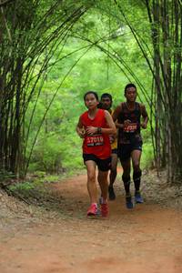 BIB: 326, 7019
                            <button type="button" onclick="openModal(4179350)" class="btn btn-primary btn-sm float-right btn-popup" data-toggle="modal" data-target=".modal-high-quality">
                        <i class="fas fa-shopping-cart"></i> Add to Cart
                    </button>
                                            <button type="button" onclick="isThisMe(4179350, true)" class="btn btn-success btn-sm float-right btn-popup btn-isme hidden" data-toggle="tooltip" data-placement="bottom" title="นี่คือรูปของคุณใช่ไหม คลิกที่นี่เพื่อเอาเข้าอัลบั้ม">
                        <i class="fas fa-plus"></i> Add to album
                    </button>
                    <button type="button" onclick="isThisMe(4179350, false)" class="btn btn-warning btn-sm float-right btn-popup btn-isnotme hidden">
                        <i class="fas fa-ban"></i> Remove from album
                    </button>