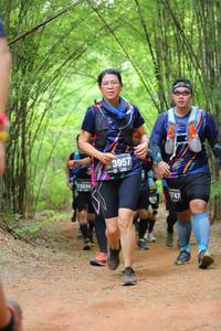 BIB: 3957, 3244, 747
                            <button type="button" onclick="openModal(4016985)" class="btn btn-primary btn-sm float-right btn-popup" data-toggle="modal" data-target=".modal-high-quality">
                        <i class="fas fa-shopping-cart"></i> Add to Cart
                    </button>
                                            <button type="button" onclick="isThisMe(4016985, true)" class="btn btn-success btn-sm float-right btn-popup btn-isme hidden" data-toggle="tooltip" data-placement="bottom" title="นี่คือรูปของคุณใช่ไหม คลิกที่นี่เพื่อเอาเข้าอัลบั้ม">
                        <i class="fas fa-plus"></i> Add to album
                    </button>
                    <button type="button" onclick="isThisMe(4016985, false)" class="btn btn-warning btn-sm float-right btn-popup btn-isnotme hidden">
                        <i class="fas fa-ban"></i> Remove from album
                    </button>