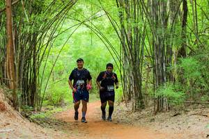 BIB: 3959
                            <button type="button" onclick="openModal(4426933)" class="btn btn-primary btn-sm float-right btn-popup" data-toggle="modal" data-target=".modal-high-quality">
                        <i class="fas fa-shopping-cart"></i> Add to Cart
                    </button>
                                            <button type="button" onclick="isThisMe(4426933, true)" class="btn btn-success btn-sm float-right btn-popup btn-isme hidden" data-toggle="tooltip" data-placement="bottom" title="นี่คือรูปของคุณใช่ไหม คลิกที่นี่เพื่อเอาเข้าอัลบั้ม">
                        <i class="fas fa-plus"></i> Add to album
                    </button>
                    <button type="button" onclick="isThisMe(4426933, false)" class="btn btn-warning btn-sm float-right btn-popup btn-isnotme hidden">
                        <i class="fas fa-ban"></i> Remove from album
                    </button>