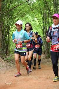 BIB: 7284, 7078, 7150, 283
                            <button type="button" onclick="openModal(4194233)" class="btn btn-primary btn-sm float-right btn-popup" data-toggle="modal" data-target=".modal-high-quality">
                        <i class="fas fa-shopping-cart"></i> Add to Cart
                    </button>
                                            <button type="button" onclick="isThisMe(4194233, true)" class="btn btn-success btn-sm float-right btn-popup btn-isme hidden" data-toggle="tooltip" data-placement="bottom" title="นี่คือรูปของคุณใช่ไหม คลิกที่นี่เพื่อเอาเข้าอัลบั้ม">
                        <i class="fas fa-plus"></i> Add to album
                    </button>
                    <button type="button" onclick="isThisMe(4194233, false)" class="btn btn-warning btn-sm float-right btn-popup btn-isnotme hidden">
                        <i class="fas fa-ban"></i> Remove from album
                    </button>