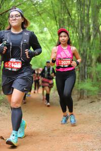 BIB: 42075, 2128
                            <button type="button" onclick="openModal(4190863)" class="btn btn-primary btn-sm float-right btn-popup" data-toggle="modal" data-target=".modal-high-quality">
                        <i class="fas fa-shopping-cart"></i> Add to Cart
                    </button>
                                            <button type="button" onclick="isThisMe(4190863, true)" class="btn btn-success btn-sm float-right btn-popup btn-isme hidden" data-toggle="tooltip" data-placement="bottom" title="นี่คือรูปของคุณใช่ไหม คลิกที่นี่เพื่อเอาเข้าอัลบั้ม">
                        <i class="fas fa-plus"></i> Add to album
                    </button>
                    <button type="button" onclick="isThisMe(4190863, false)" class="btn btn-warning btn-sm float-right btn-popup btn-isnotme hidden">
                        <i class="fas fa-ban"></i> Remove from album
                    </button>