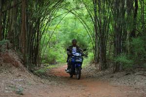 BIB: 
                            <button type="button" onclick="openModal(4002863)" class="btn btn-primary btn-sm float-right btn-popup" data-toggle="modal" data-target=".modal-high-quality">
                        <i class="fas fa-shopping-cart"></i> Add to Cart
                    </button>
                                            <button type="button" onclick="isThisMe(4002863, true)" class="btn btn-success btn-sm float-right btn-popup btn-isme hidden" data-toggle="tooltip" data-placement="bottom" title="นี่คือรูปของคุณใช่ไหม คลิกที่นี่เพื่อเอาเข้าอัลบั้ม">
                        <i class="fas fa-plus"></i> Add to album
                    </button>
                    <button type="button" onclick="isThisMe(4002863, false)" class="btn btn-warning btn-sm float-right btn-popup btn-isnotme hidden">
                        <i class="fas fa-ban"></i> Remove from album
                    </button>