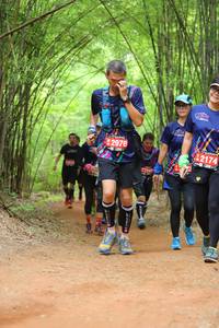 BIB: 2976, 42174
                            <button type="button" onclick="openModal(4195499)" class="btn btn-primary btn-sm float-right btn-popup" data-toggle="modal" data-target=".modal-high-quality">
                        <i class="fas fa-shopping-cart"></i> Add to Cart
                    </button>
                                            <button type="button" onclick="isThisMe(4195499, true)" class="btn btn-success btn-sm float-right btn-popup btn-isme hidden" data-toggle="tooltip" data-placement="bottom" title="นี่คือรูปของคุณใช่ไหม คลิกที่นี่เพื่อเอาเข้าอัลบั้ม">
                        <i class="fas fa-plus"></i> Add to album
                    </button>
                    <button type="button" onclick="isThisMe(4195499, false)" class="btn btn-warning btn-sm float-right btn-popup btn-isnotme hidden">
                        <i class="fas fa-ban"></i> Remove from album
                    </button>