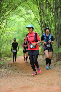 BIB: 325
                            <button type="button" onclick="openModal(4177376)" class="btn btn-primary btn-sm float-right btn-popup" data-toggle="modal" data-target=".modal-high-quality">
                        <i class="fas fa-shopping-cart"></i> Add to Cart
                    </button>
                                            <button type="button" onclick="isThisMe(4177376, true)" class="btn btn-success btn-sm float-right btn-popup btn-isme hidden" data-toggle="tooltip" data-placement="bottom" title="นี่คือรูปของคุณใช่ไหม คลิกที่นี่เพื่อเอาเข้าอัลบั้ม">
                        <i class="fas fa-plus"></i> Add to album
                    </button>
                    <button type="button" onclick="isThisMe(4177376, false)" class="btn btn-warning btn-sm float-right btn-popup btn-isnotme hidden">
                        <i class="fas fa-ban"></i> Remove from album
                    </button>