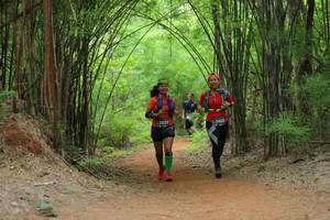 BIB: 13824, 43468
                            <button type="button" onclick="openModal(4178993)" class="btn btn-primary btn-sm float-right btn-popup" data-toggle="modal" data-target=".modal-high-quality">
                        <i class="fas fa-shopping-cart"></i> Add to Cart
                    </button>
                                            <button type="button" onclick="isThisMe(4178993, true)" class="btn btn-success btn-sm float-right btn-popup btn-isme hidden" data-toggle="tooltip" data-placement="bottom" title="นี่คือรูปของคุณใช่ไหม คลิกที่นี่เพื่อเอาเข้าอัลบั้ม">
                        <i class="fas fa-plus"></i> Add to album
                    </button>
                    <button type="button" onclick="isThisMe(4178993, false)" class="btn btn-warning btn-sm float-right btn-popup btn-isnotme hidden">
                        <i class="fas fa-ban"></i> Remove from album
                    </button>