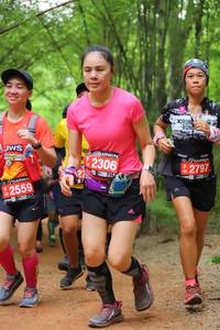 BIB: 2306, 2797, 2559, 
                            <button type="button" onclick="openModal(4190825)" class="btn btn-primary btn-sm float-right btn-popup" data-toggle="modal" data-target=".modal-high-quality">
                        <i class="fas fa-shopping-cart"></i> Add to Cart
                    </button>
                                            <button type="button" onclick="isThisMe(4190825, true)" class="btn btn-success btn-sm float-right btn-popup btn-isme hidden" data-toggle="tooltip" data-placement="bottom" title="นี่คือรูปของคุณใช่ไหม คลิกที่นี่เพื่อเอาเข้าอัลบั้ม">
                        <i class="fas fa-plus"></i> Add to album
                    </button>
                    <button type="button" onclick="isThisMe(4190825, false)" class="btn btn-warning btn-sm float-right btn-popup btn-isnotme hidden">
                        <i class="fas fa-ban"></i> Remove from album
                    </button>