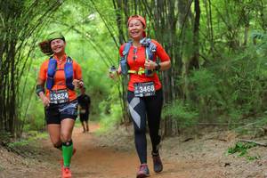 BIB: 3824, 3468
                            <button type="button" onclick="openModal(4179022)" class="btn btn-primary btn-sm float-right btn-popup" data-toggle="modal" data-target=".modal-high-quality">
                        <i class="fas fa-shopping-cart"></i> Add to Cart
                    </button>
                                            <button type="button" onclick="isThisMe(4179022, true)" class="btn btn-success btn-sm float-right btn-popup btn-isme hidden" data-toggle="tooltip" data-placement="bottom" title="นี่คือรูปของคุณใช่ไหม คลิกที่นี่เพื่อเอาเข้าอัลบั้ม">
                        <i class="fas fa-plus"></i> Add to album
                    </button>
                    <button type="button" onclick="isThisMe(4179022, false)" class="btn btn-warning btn-sm float-right btn-popup btn-isnotme hidden">
                        <i class="fas fa-ban"></i> Remove from album
                    </button>