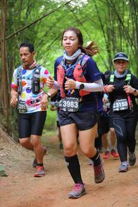 BIB: 3983, 281, 43150
                            <button type="button" onclick="openModal(4018382)" class="btn btn-primary btn-sm float-right btn-popup" data-toggle="modal" data-target=".modal-high-quality">
                        <i class="fas fa-shopping-cart"></i> Add to Cart
                    </button>
                                            <button type="button" onclick="isThisMe(4018382, true)" class="btn btn-success btn-sm float-right btn-popup btn-isme hidden" data-toggle="tooltip" data-placement="bottom" title="นี่คือรูปของคุณใช่ไหม คลิกที่นี่เพื่อเอาเข้าอัลบั้ม">
                        <i class="fas fa-plus"></i> Add to album
                    </button>
                    <button type="button" onclick="isThisMe(4018382, false)" class="btn btn-warning btn-sm float-right btn-popup btn-isnotme hidden">
                        <i class="fas fa-ban"></i> Remove from album
                    </button>