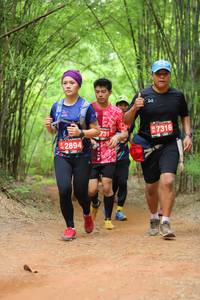 BIB: 7316, 731, 2894
                            <button type="button" onclick="openModal(4190917)" class="btn btn-primary btn-sm float-right btn-popup" data-toggle="modal" data-target=".modal-high-quality">
                        <i class="fas fa-shopping-cart"></i> Add to Cart
                    </button>
                                            <button type="button" onclick="isThisMe(4190917, true)" class="btn btn-success btn-sm float-right btn-popup btn-isme hidden" data-toggle="tooltip" data-placement="bottom" title="นี่คือรูปของคุณใช่ไหม คลิกที่นี่เพื่อเอาเข้าอัลบั้ม">
                        <i class="fas fa-plus"></i> Add to album
                    </button>
                    <button type="button" onclick="isThisMe(4190917, false)" class="btn btn-warning btn-sm float-right btn-popup btn-isnotme hidden">
                        <i class="fas fa-ban"></i> Remove from album
                    </button>