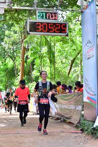 BIB: 213, 525, 2729, 7317
                            <button type="button" onclick="openModal(3981176)" class="btn btn-primary btn-sm float-right btn-popup" data-toggle="modal" data-target=".modal-high-quality">
                        <i class="fas fa-shopping-cart"></i> Add to Cart
                    </button>
                                            <button type="button" onclick="isThisMe(3981176, true)" class="btn btn-success btn-sm float-right btn-popup btn-isme hidden" data-toggle="tooltip" data-placement="bottom" title="นี่คือรูปของคุณใช่ไหม คลิกที่นี่เพื่อเอาเข้าอัลบั้ม">
                        <i class="fas fa-plus"></i> Add to album
                    </button>
                    <button type="button" onclick="isThisMe(3981176, false)" class="btn btn-warning btn-sm float-right btn-popup btn-isnotme hidden">
                        <i class="fas fa-ban"></i> Remove from album
                    </button>