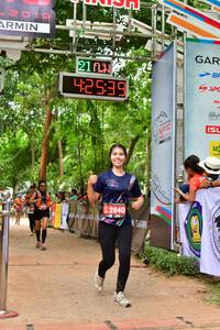 BIB: 42539, 2840
                            <button type="button" onclick="openModal(4005597)" class="btn btn-primary btn-sm float-right btn-popup" data-toggle="modal" data-target=".modal-high-quality">
                        <i class="fas fa-shopping-cart"></i> Add to Cart
                    </button>
                                            <button type="button" onclick="isThisMe(4005597, true)" class="btn btn-success btn-sm float-right btn-popup btn-isme hidden" data-toggle="tooltip" data-placement="bottom" title="นี่คือรูปของคุณใช่ไหม คลิกที่นี่เพื่อเอาเข้าอัลบั้ม">
                        <i class="fas fa-plus"></i> Add to album
                    </button>
                    <button type="button" onclick="isThisMe(4005597, false)" class="btn btn-warning btn-sm float-right btn-popup btn-isnotme hidden">
                        <i class="fas fa-ban"></i> Remove from album
                    </button>