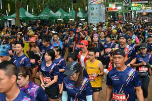 BIB: 3056, 12016, 2081, 12288, 342, 2785, 7248
                            <button type="button" onclick="openModal(4418262)" class="btn btn-primary btn-sm float-right btn-popup" data-toggle="modal" data-target=".modal-high-quality">
                        <i class="fas fa-shopping-cart"></i> Add to Cart
                    </button>
                                            <button type="button" onclick="isThisMe(4418262, true)" class="btn btn-success btn-sm float-right btn-popup btn-isme hidden" data-toggle="tooltip" data-placement="bottom" title="นี่คือรูปของคุณใช่ไหม คลิกที่นี่เพื่อเอาเข้าอัลบั้ม">
                        <i class="fas fa-plus"></i> Add to album
                    </button>
                    <button type="button" onclick="isThisMe(4418262, false)" class="btn btn-warning btn-sm float-right btn-popup btn-isnotme hidden">
                        <i class="fas fa-ban"></i> Remove from album
                    </button>