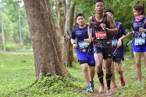 BIB: 7326, 189, 130, 1909
                            <button type="button" onclick="openModal(4510081)" class="btn btn-primary btn-sm float-right btn-popup" data-toggle="modal" data-target=".modal-high-quality">
                        <i class="fas fa-shopping-cart"></i> Add to Cart
                    </button>
                                            <button type="button" onclick="isThisMe(4510081, true)" class="btn btn-success btn-sm float-right btn-popup btn-isme hidden" data-toggle="tooltip" data-placement="bottom" title="นี่คือรูปของคุณใช่ไหม คลิกที่นี่เพื่อเอาเข้าอัลบั้ม">
                        <i class="fas fa-plus"></i> Add to album
                    </button>
                    <button type="button" onclick="isThisMe(4510081, false)" class="btn btn-warning btn-sm float-right btn-popup btn-isnotme hidden">
                        <i class="fas fa-ban"></i> Remove from album
                    </button>