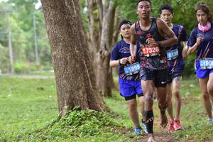 BIB: 7326, 6130, 1898, 190
                            <button type="button" onclick="openModal(4510082)" class="btn btn-primary btn-sm float-right btn-popup" data-toggle="modal" data-target=".modal-high-quality">
                        <i class="fas fa-shopping-cart"></i> Add to Cart
                    </button>
                                            <button type="button" onclick="isThisMe(4510082, true)" class="btn btn-success btn-sm float-right btn-popup btn-isme hidden" data-toggle="tooltip" data-placement="bottom" title="นี่คือรูปของคุณใช่ไหม คลิกที่นี่เพื่อเอาเข้าอัลบั้ม">
                        <i class="fas fa-plus"></i> Add to album
                    </button>
                    <button type="button" onclick="isThisMe(4510082, false)" class="btn btn-warning btn-sm float-right btn-popup btn-isnotme hidden">
                        <i class="fas fa-ban"></i> Remove from album
                    </button>