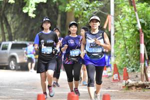 BIB: 1766, 6289, 21407
                            <button type="button" onclick="openModal(4524349)" class="btn btn-primary btn-sm float-right btn-popup" data-toggle="modal" data-target=".modal-high-quality">
                        <i class="fas fa-shopping-cart"></i> Add to Cart
                    </button>
                                            <button type="button" onclick="isThisMe(4524349, true)" class="btn btn-success btn-sm float-right btn-popup btn-isme hidden" data-toggle="tooltip" data-placement="bottom" title="นี่คือรูปของคุณใช่ไหม คลิกที่นี่เพื่อเอาเข้าอัลบั้ม">
                        <i class="fas fa-plus"></i> Add to album
                    </button>
                    <button type="button" onclick="isThisMe(4524349, false)" class="btn btn-warning btn-sm float-right btn-popup btn-isnotme hidden">
                        <i class="fas fa-ban"></i> Remove from album
                    </button>