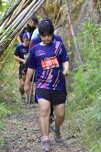 BIB: 2016, 
                            <button type="button" onclick="openModal(4481494)" class="btn btn-primary btn-sm float-right btn-popup" data-toggle="modal" data-target=".modal-high-quality">
                        <i class="fas fa-shopping-cart"></i> Add to Cart
                    </button>
                                            <button type="button" onclick="isThisMe(4481494, true)" class="btn btn-success btn-sm float-right btn-popup btn-isme hidden" data-toggle="tooltip" data-placement="bottom" title="นี่คือรูปของคุณใช่ไหม คลิกที่นี่เพื่อเอาเข้าอัลบั้ม">
                        <i class="fas fa-plus"></i> Add to album
                    </button>
                    <button type="button" onclick="isThisMe(4481494, false)" class="btn btn-warning btn-sm float-right btn-popup btn-isnotme hidden">
                        <i class="fas fa-ban"></i> Remove from album
                    </button>