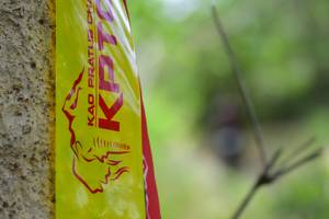 BIB: 
                            <button type="button" onclick="openModal(4312240)" class="btn btn-primary btn-sm float-right btn-popup" data-toggle="modal" data-target=".modal-high-quality">
                        <i class="fas fa-shopping-cart"></i> Add to Cart
                    </button>
                                            <button type="button" onclick="isThisMe(4312240, true)" class="btn btn-success btn-sm float-right btn-popup btn-isme hidden" data-toggle="tooltip" data-placement="bottom" title="นี่คือรูปของคุณใช่ไหม คลิกที่นี่เพื่อเอาเข้าอัลบั้ม">
                        <i class="fas fa-plus"></i> Add to album
                    </button>
                    <button type="button" onclick="isThisMe(4312240, false)" class="btn btn-warning btn-sm float-right btn-popup btn-isnotme hidden">
                        <i class="fas fa-ban"></i> Remove from album
                    </button>