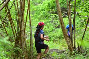 BIB: 
                            <button type="button" onclick="openModal(4301351)" class="btn btn-primary btn-sm float-right btn-popup" data-toggle="modal" data-target=".modal-high-quality">
                        <i class="fas fa-shopping-cart"></i> Add to Cart
                    </button>
                                            <button type="button" onclick="isThisMe(4301351, true)" class="btn btn-success btn-sm float-right btn-popup btn-isme hidden" data-toggle="tooltip" data-placement="bottom" title="นี่คือรูปของคุณใช่ไหม คลิกที่นี่เพื่อเอาเข้าอัลบั้ม">
                        <i class="fas fa-plus"></i> Add to album
                    </button>
                    <button type="button" onclick="isThisMe(4301351, false)" class="btn btn-warning btn-sm float-right btn-popup btn-isnotme hidden">
                        <i class="fas fa-ban"></i> Remove from album
                    </button>