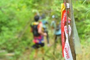 BIB: 
                            <button type="button" onclick="openModal(4312720)" class="btn btn-primary btn-sm float-right btn-popup" data-toggle="modal" data-target=".modal-high-quality">
                        <i class="fas fa-shopping-cart"></i> Add to Cart
                    </button>
                                            <button type="button" onclick="isThisMe(4312720, true)" class="btn btn-success btn-sm float-right btn-popup btn-isme hidden" data-toggle="tooltip" data-placement="bottom" title="นี่คือรูปของคุณใช่ไหม คลิกที่นี่เพื่อเอาเข้าอัลบั้ม">
                        <i class="fas fa-plus"></i> Add to album
                    </button>
                    <button type="button" onclick="isThisMe(4312720, false)" class="btn btn-warning btn-sm float-right btn-popup btn-isnotme hidden">
                        <i class="fas fa-ban"></i> Remove from album
                    </button>