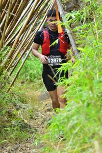 BIB: 3978, 
                            <button type="button" onclick="openModal(4304523)" class="btn btn-primary btn-sm float-right btn-popup" data-toggle="modal" data-target=".modal-high-quality">
                        <i class="fas fa-shopping-cart"></i> Add to Cart
                    </button>
                                            <button type="button" onclick="isThisMe(4304523, true)" class="btn btn-success btn-sm float-right btn-popup btn-isme hidden" data-toggle="tooltip" data-placement="bottom" title="นี่คือรูปของคุณใช่ไหม คลิกที่นี่เพื่อเอาเข้าอัลบั้ม">
                        <i class="fas fa-plus"></i> Add to album
                    </button>
                    <button type="button" onclick="isThisMe(4304523, false)" class="btn btn-warning btn-sm float-right btn-popup btn-isnotme hidden">
                        <i class="fas fa-ban"></i> Remove from album
                    </button>