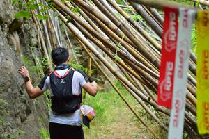 BIB: 
                            <button type="button" onclick="openModal(4305099)" class="btn btn-primary btn-sm float-right btn-popup" data-toggle="modal" data-target=".modal-high-quality">
                        <i class="fas fa-shopping-cart"></i> Add to Cart
                    </button>
                                            <button type="button" onclick="isThisMe(4305099, true)" class="btn btn-success btn-sm float-right btn-popup btn-isme hidden" data-toggle="tooltip" data-placement="bottom" title="นี่คือรูปของคุณใช่ไหม คลิกที่นี่เพื่อเอาเข้าอัลบั้ม">
                        <i class="fas fa-plus"></i> Add to album
                    </button>
                    <button type="button" onclick="isThisMe(4305099, false)" class="btn btn-warning btn-sm float-right btn-popup btn-isnotme hidden">
                        <i class="fas fa-ban"></i> Remove from album
                    </button>