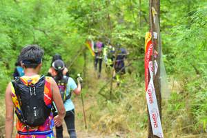 BIB: 
                            <button type="button" onclick="openModal(4312695)" class="btn btn-primary btn-sm float-right btn-popup" data-toggle="modal" data-target=".modal-high-quality">
                        <i class="fas fa-shopping-cart"></i> Add to Cart
                    </button>
                                            <button type="button" onclick="isThisMe(4312695, true)" class="btn btn-success btn-sm float-right btn-popup btn-isme hidden" data-toggle="tooltip" data-placement="bottom" title="นี่คือรูปของคุณใช่ไหม คลิกที่นี่เพื่อเอาเข้าอัลบั้ม">
                        <i class="fas fa-plus"></i> Add to album
                    </button>
                    <button type="button" onclick="isThisMe(4312695, false)" class="btn btn-warning btn-sm float-right btn-popup btn-isnotme hidden">
                        <i class="fas fa-ban"></i> Remove from album
                    </button>