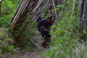 BIB: 
                            <button type="button" onclick="openModal(4401176)" class="btn btn-primary btn-sm float-right btn-popup" data-toggle="modal" data-target=".modal-high-quality">
                        <i class="fas fa-shopping-cart"></i> Add to Cart
                    </button>
                                            <button type="button" onclick="isThisMe(4401176, true)" class="btn btn-success btn-sm float-right btn-popup btn-isme hidden" data-toggle="tooltip" data-placement="bottom" title="นี่คือรูปของคุณใช่ไหม คลิกที่นี่เพื่อเอาเข้าอัลบั้ม">
                        <i class="fas fa-plus"></i> Add to album
                    </button>
                    <button type="button" onclick="isThisMe(4401176, false)" class="btn btn-warning btn-sm float-right btn-popup btn-isnotme hidden">
                        <i class="fas fa-ban"></i> Remove from album
                    </button>