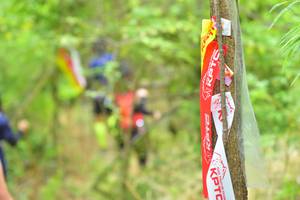 BIB: 
                            <button type="button" onclick="openModal(4312697)" class="btn btn-primary btn-sm float-right btn-popup" data-toggle="modal" data-target=".modal-high-quality">
                        <i class="fas fa-shopping-cart"></i> Add to Cart
                    </button>
                                            <button type="button" onclick="isThisMe(4312697, true)" class="btn btn-success btn-sm float-right btn-popup btn-isme hidden" data-toggle="tooltip" data-placement="bottom" title="นี่คือรูปของคุณใช่ไหม คลิกที่นี่เพื่อเอาเข้าอัลบั้ม">
                        <i class="fas fa-plus"></i> Add to album
                    </button>
                    <button type="button" onclick="isThisMe(4312697, false)" class="btn btn-warning btn-sm float-right btn-popup btn-isnotme hidden">
                        <i class="fas fa-ban"></i> Remove from album
                    </button>