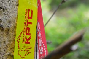 BIB: 
                            <button type="button" onclick="openModal(4312271)" class="btn btn-primary btn-sm float-right btn-popup" data-toggle="modal" data-target=".modal-high-quality">
                        <i class="fas fa-shopping-cart"></i> Add to Cart
                    </button>
                                            <button type="button" onclick="isThisMe(4312271, true)" class="btn btn-success btn-sm float-right btn-popup btn-isme hidden" data-toggle="tooltip" data-placement="bottom" title="นี่คือรูปของคุณใช่ไหม คลิกที่นี่เพื่อเอาเข้าอัลบั้ม">
                        <i class="fas fa-plus"></i> Add to album
                    </button>
                    <button type="button" onclick="isThisMe(4312271, false)" class="btn btn-warning btn-sm float-right btn-popup btn-isnotme hidden">
                        <i class="fas fa-ban"></i> Remove from album
                    </button>