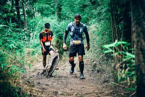 BIB: 5219
                            <button type="button" onclick="openModal(4538504)" class="btn btn-primary btn-sm float-right btn-popup" data-toggle="modal" data-target=".modal-high-quality">
                        <i class="fas fa-shopping-cart"></i> Add to Cart
                    </button>
                                            <button type="button" onclick="isThisMe(4538504, true)" class="btn btn-success btn-sm float-right btn-popup btn-isme hidden" data-toggle="tooltip" data-placement="bottom" title="นี่คือรูปของคุณใช่ไหม คลิกที่นี่เพื่อเอาเข้าอัลบั้ม">
                        <i class="fas fa-plus"></i> Add to album
                    </button>
                    <button type="button" onclick="isThisMe(4538504, false)" class="btn btn-warning btn-sm float-right btn-popup btn-isnotme hidden">
                        <i class="fas fa-ban"></i> Remove from album
                    </button>